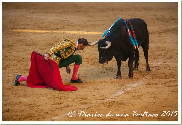 Toros Feria 2015-0014