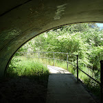 Under West Charlestown bypass (337057)