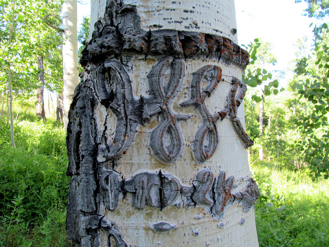 Aspen carving from 9-10-1924