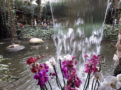Photos of Utopia Park