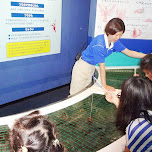 catching crabs at the Shinagawa Aquarium in Shinagawa, Japan 