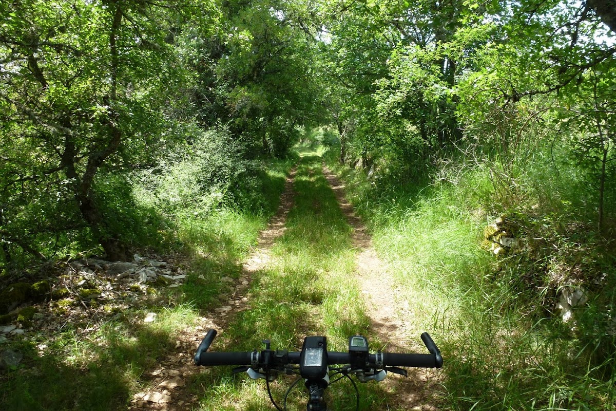 P1010455.JPG