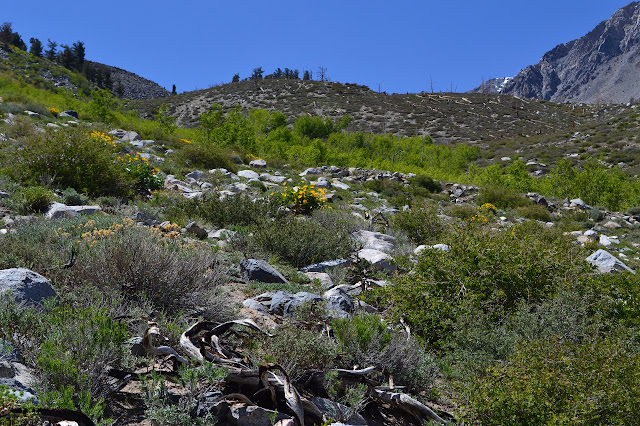 rolling land in the valley between mountains