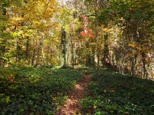 Park «Cochran Shoals - Powers Island», reviews and photos, 5450 Interstate N Pkwy, Sandy Springs, GA 30328, USA