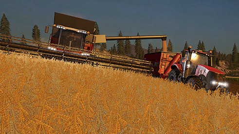 파일:external/media.farming-simulator.com/fruit-soybean1.jpg