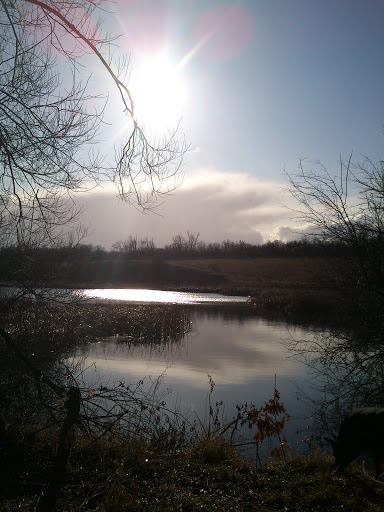 DSC_0032.JPG