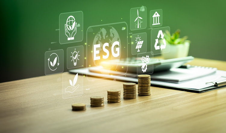 The inaugural Sanlam ESG Barometer provides insight about SA’s international investor appeal. Picture: 123RF/boy8888