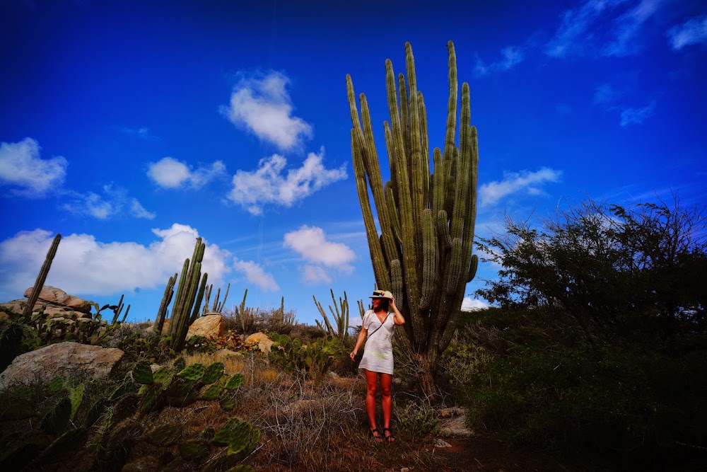 capilla de alto vista, Aruba