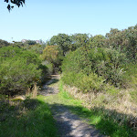 Shallow dry creek on track near La Perouse (309110)