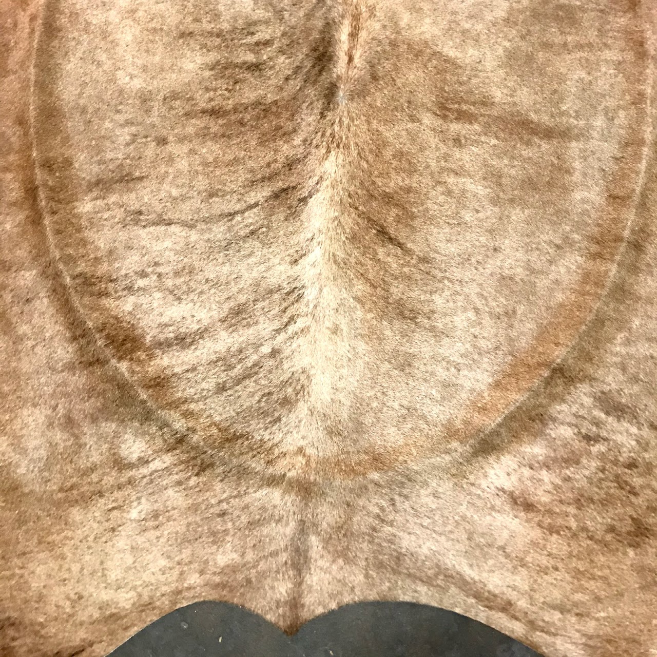 Cowhide Area Rug