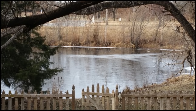 winter pond