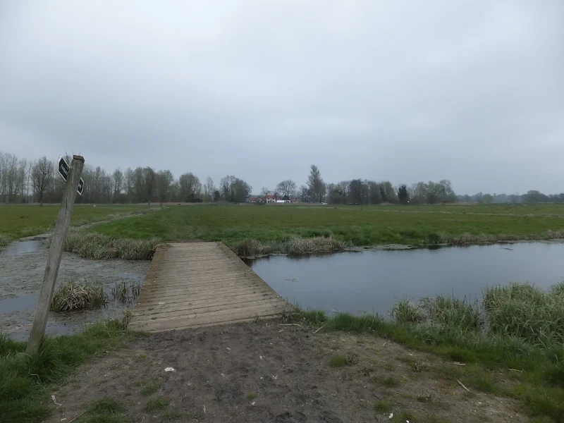 Meadows to Geldeston Locks