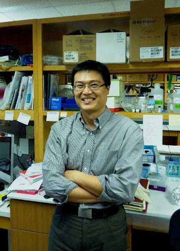 Урологи. Мыши. Девушка. 