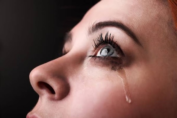 WANI AURE CHAPTER 14 WANI AURE CHAPTER 14