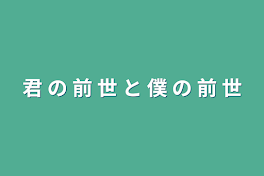 君 の 前 世 と 僕 の 前 世