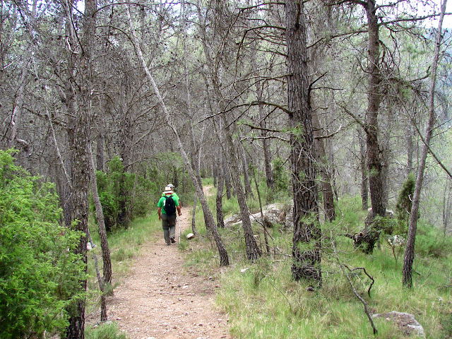 Montanejos - Estechos - Pantano - Morrón - Castillejos