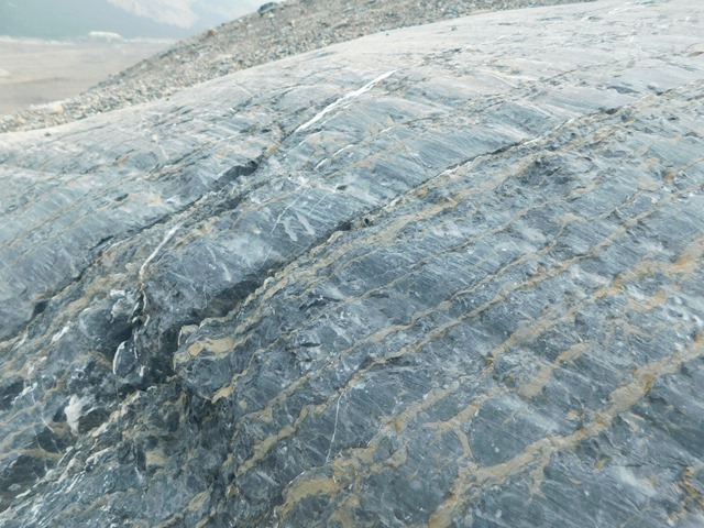 C082_CAN AL Banff NP Columbia Icefields_2018-08-14_DSCN2406