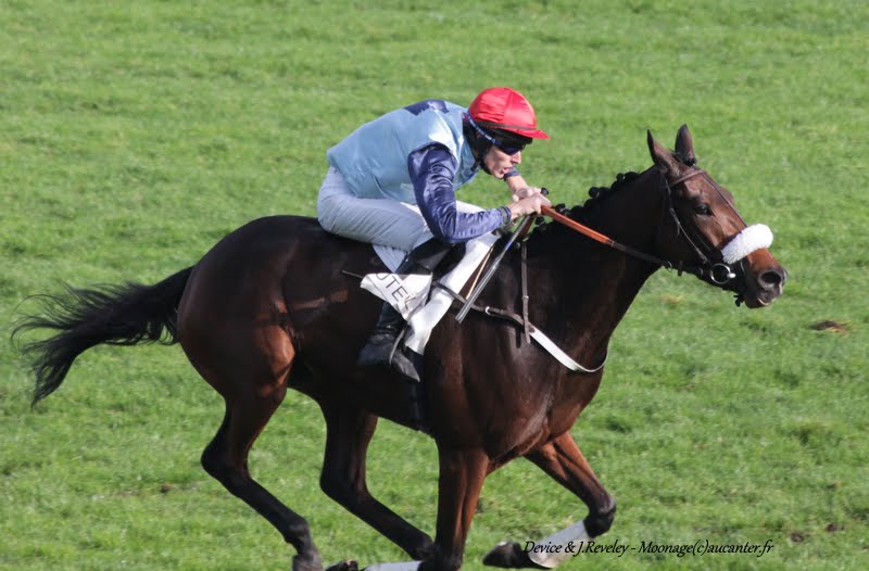 Photos Auteuil 8-11-2015 (48h de l'obstacle) IMG_6942