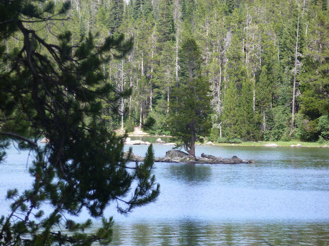 West Thumb, (PN Yellowstone) y Grand Teton. 15 Julio - LAS ROCOSAS DE CANADA. YELLOWSTONE Y GRAND TETON. (69)