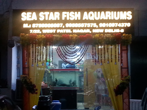 Sea Star Fish Aquariums And Pet Shop, 7/22, West Patel Nagar, Block 7, New Delhi, Delhi 110008, India, Pet_Shop, state UP