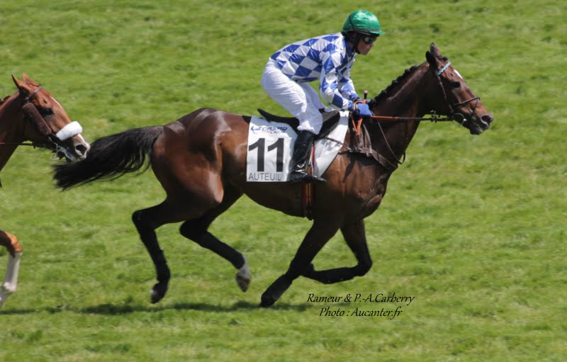 Photos Auteuil 7-06-2015 Journée Grande Course de Haies IMG_1444