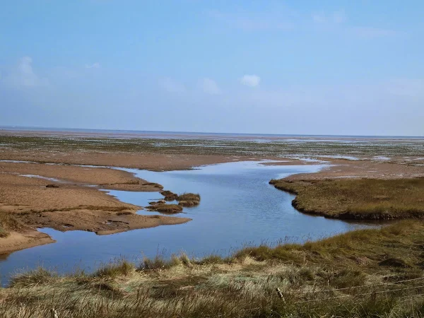 North Coates Marshes