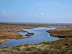 North Coates Marshes