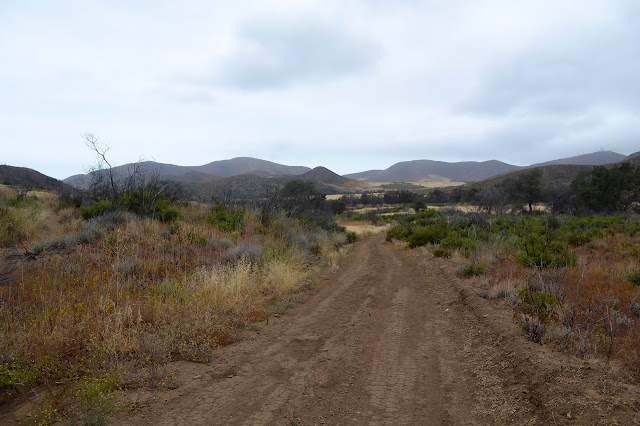 road into the valley