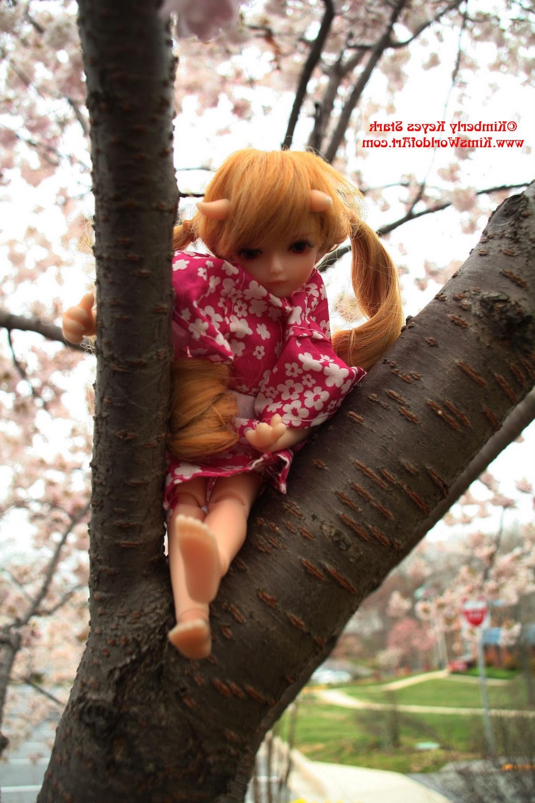 5Star Doll Tong Tong in cherry