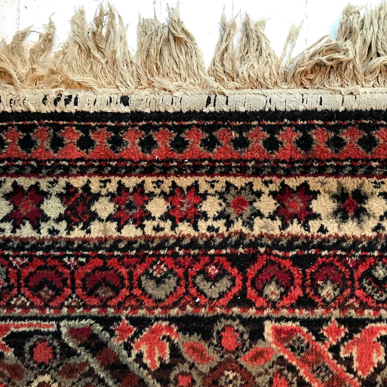 Couristan Wool Area Rug