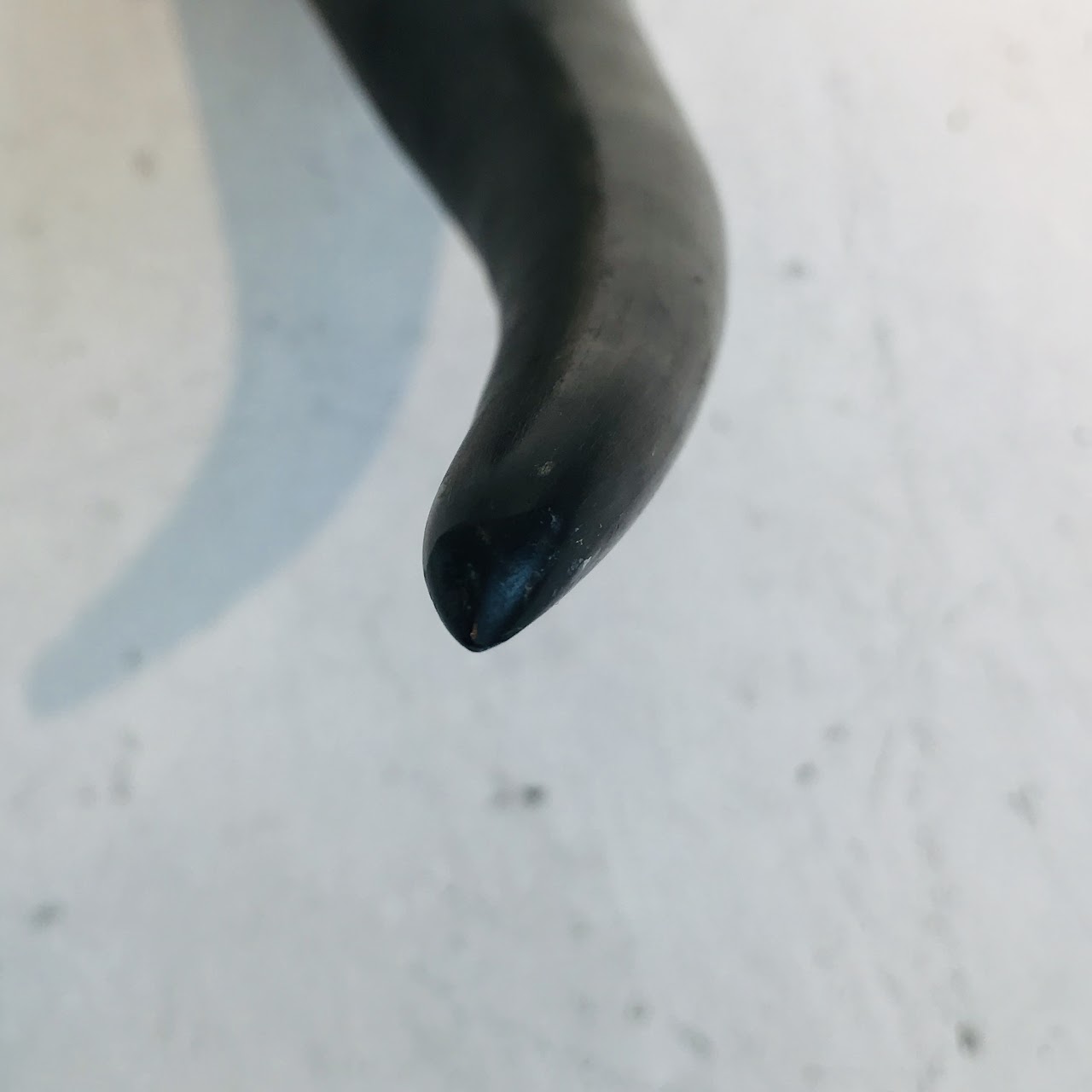 Mounted Steer Horns