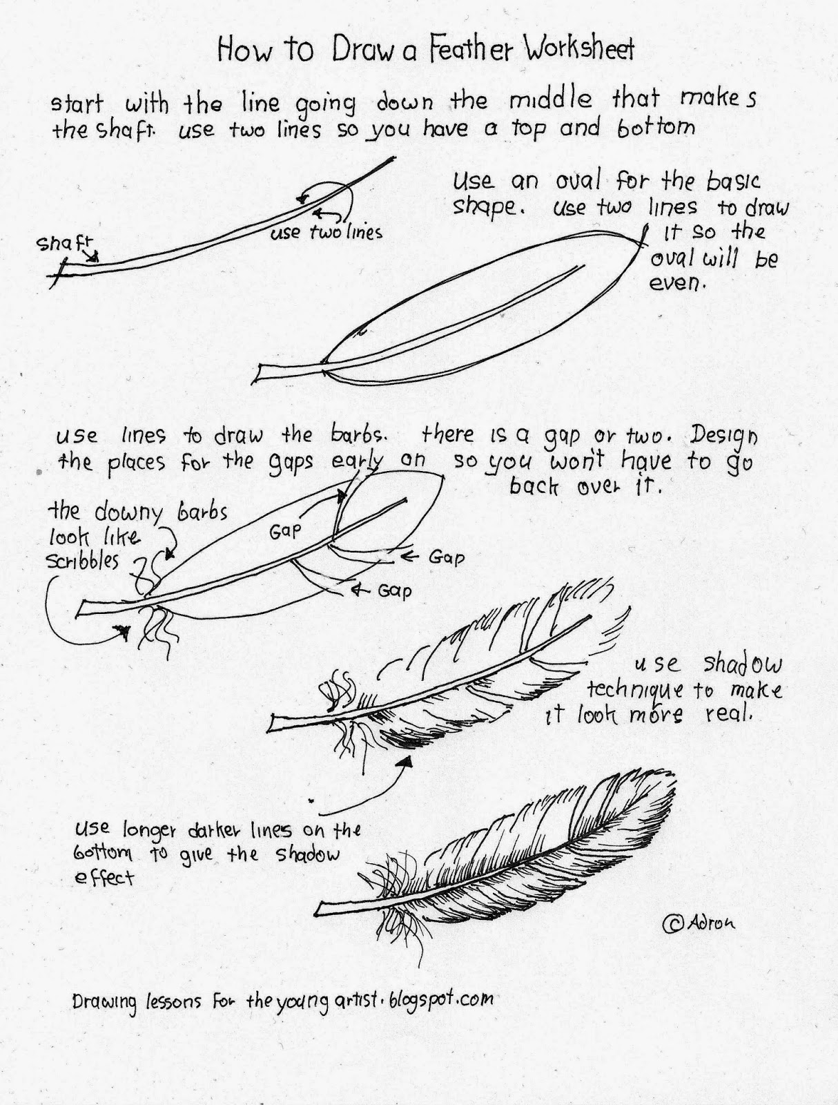 Feather Drawing Tutorial