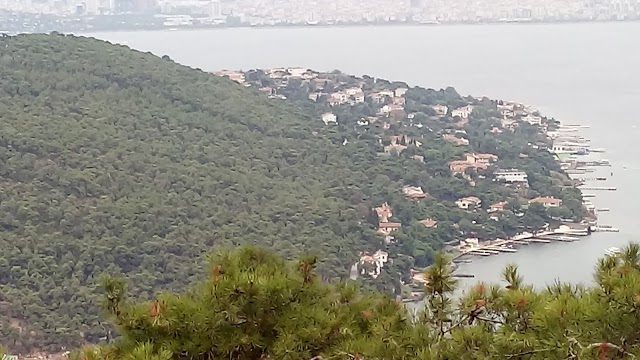 Büyükada