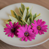 Pink Daisies di 