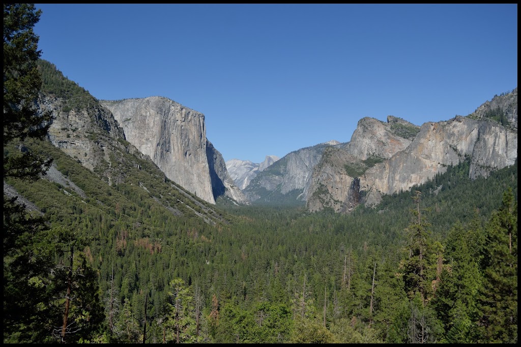 INTENSA RUTA POR LA COSTA OESTE USA 2015 - Blogs de USA - YOSEMITE (15)