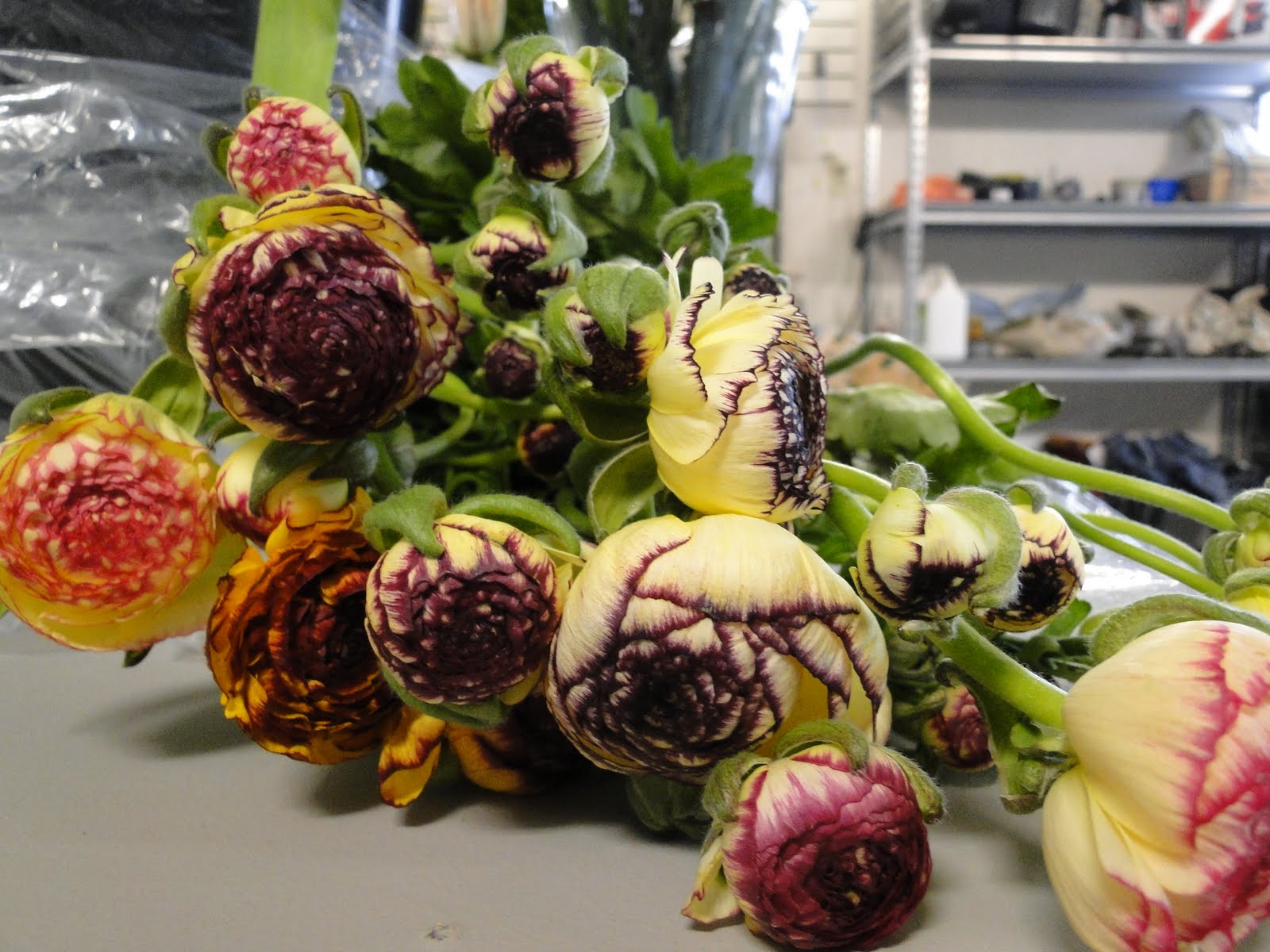 ranunculus wedding bouquet