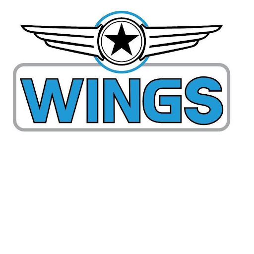 Wings Over Fort Worth logo