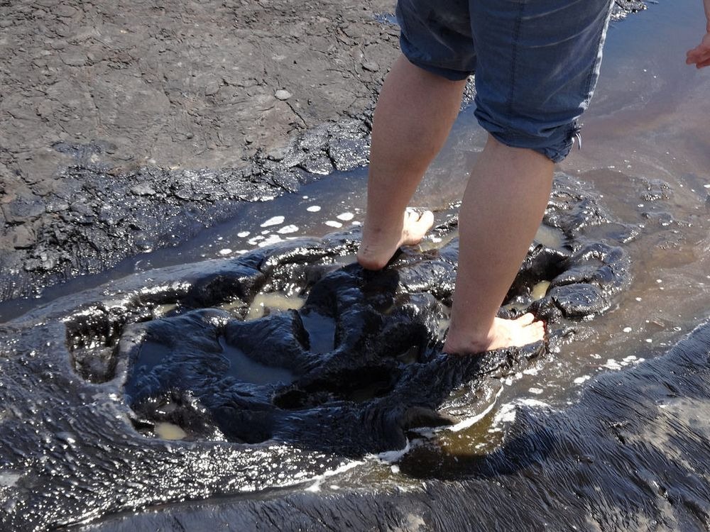 tar-pits-fossils-12