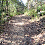 Uphill on the split rock management trail (239192)