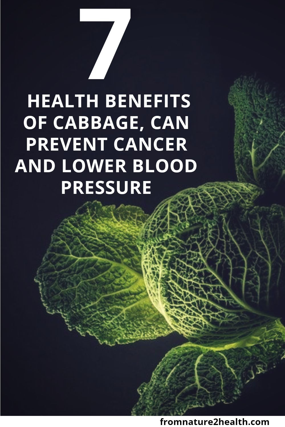 7 Health Benefits of Cabbage, Can Prevent Cancer and Lower Blood Pressure 7 Health Benefits of Cabbage, Can Prevent Cancer and Lower Blood Pressure