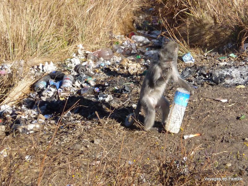 Pollution on Rinjani