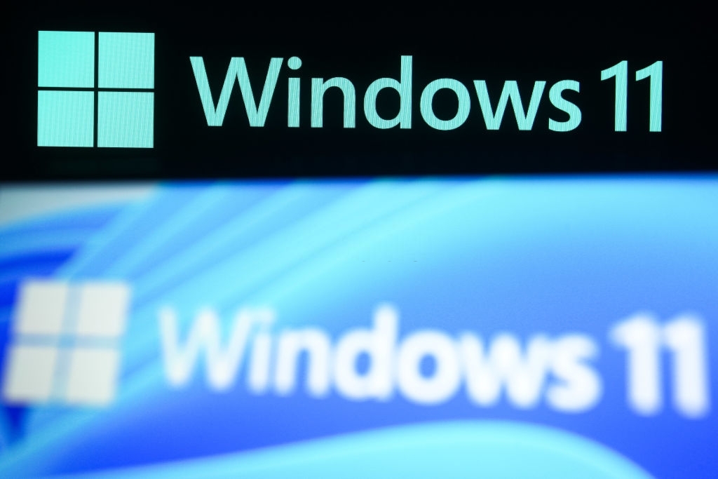 Raton Download - Desde 2007: Windows 11 Pro Lite pt-BR [LEIA A DESCRIÇÃO]  x64 2021