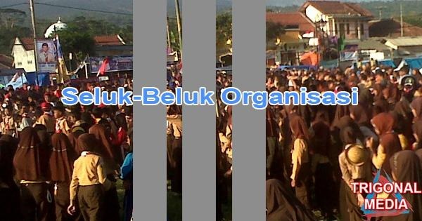 Seluk-Beluk Organisasi