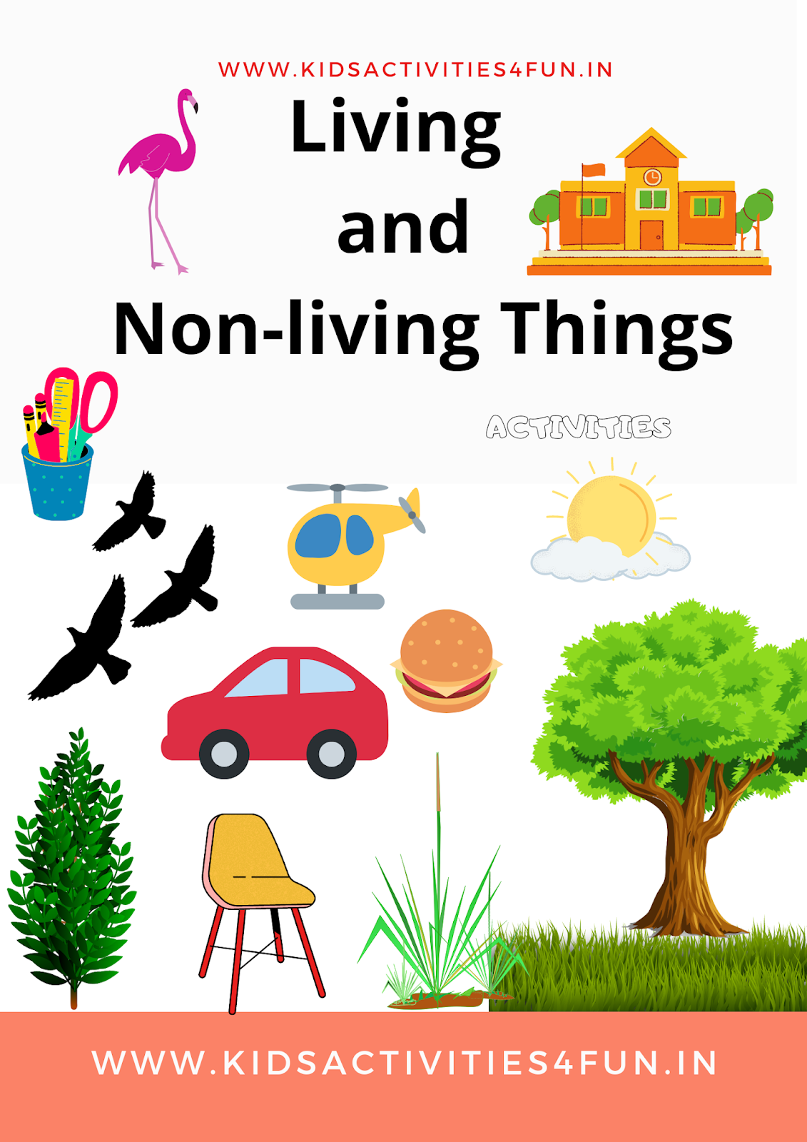 Living & Non-living Things Activity Experiment for kids and ...
