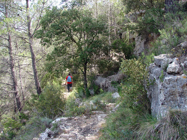 Senderismo - Puebla de Arenosos - Chorrico - Montico - Chorrador SL-CV 57