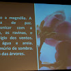 lagoa2012 4 01abr (162).JPG