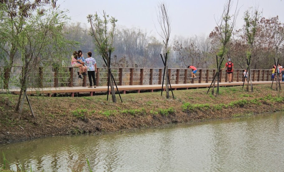 田寮月世界地景公園-10