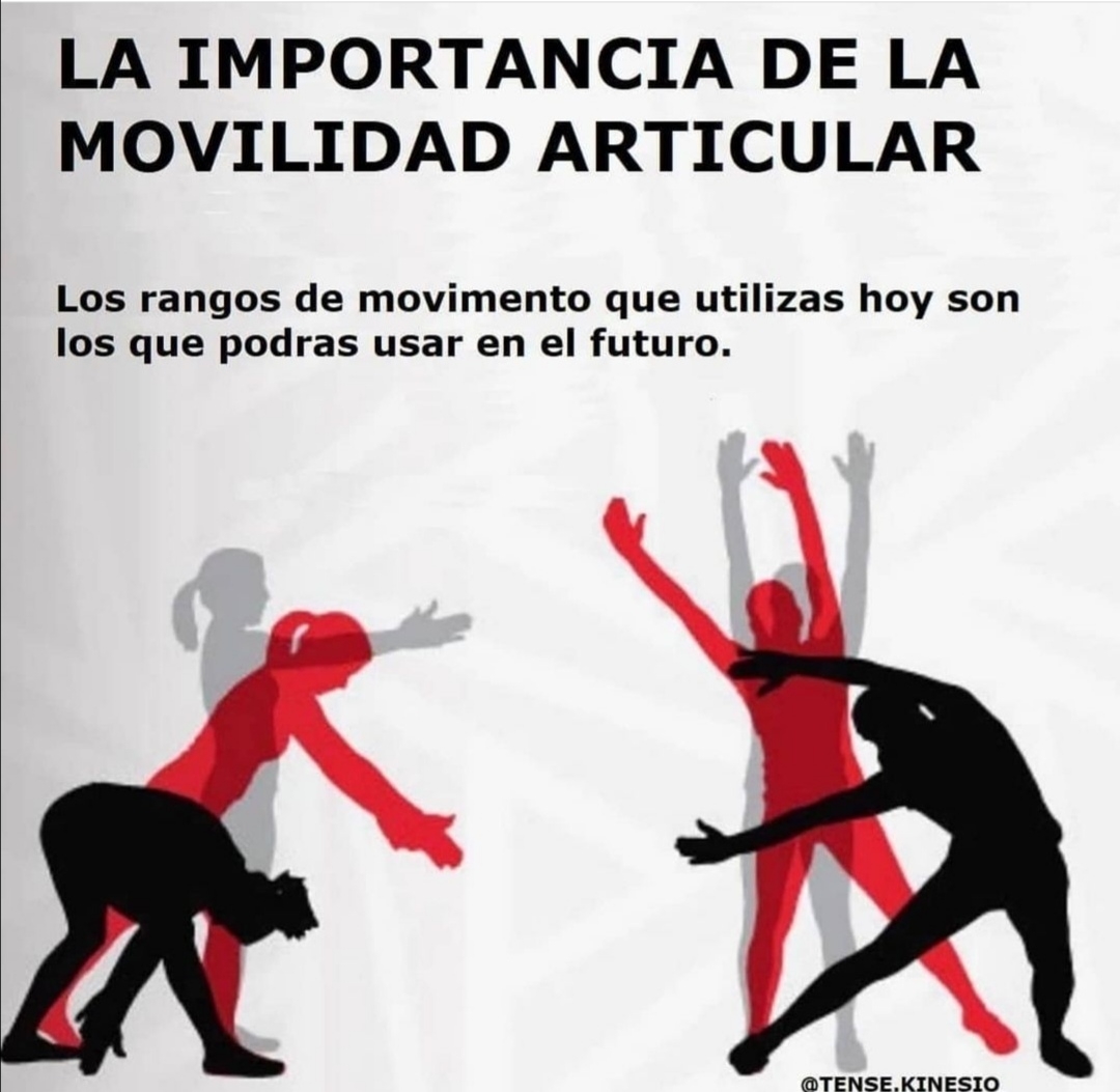 📷☝️LA IMPORTANCIA DE LA MOVILIDAD ARTICULAR‼️