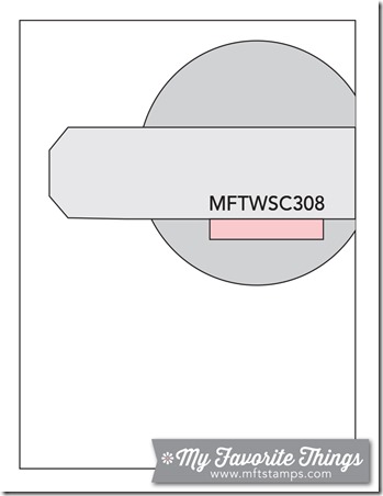 MFT_WSC_308