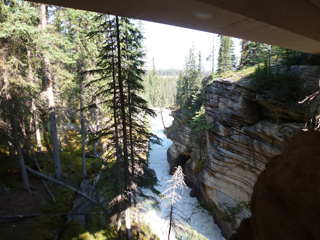 Icefields Parkway. De Jasper a Banff. 8 de Julio - LAS ROCOSAS DE CANADA. YELLOWSTONE Y GRAND TETON. (8)